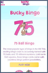 Bingo variations at Bucky mobile bingo