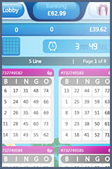A 5-line bingo room at Dino Bingo on the go