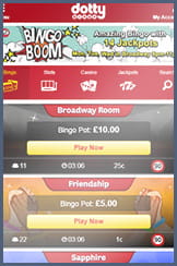 Dotty and their bingo lobby for mobile players