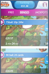 The bingo rooms featured at Monkey for your phone
