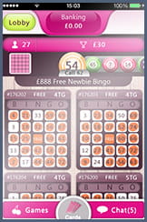 Newbies Play for Free at 888Ladies Mobile Bingo