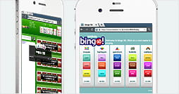 Mobile app for Tombola bingo