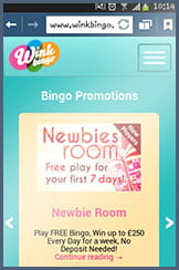 Wink Newbie Room on Mobile