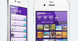 Picture Gallery of the Sky Bingo App